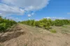 540 Stewart Road, Red Cliffs, Vic 3496-Image