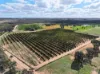540 Stewart Road, Red Cliffs, Vic 3496-Image