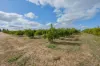 540 Stewart Road, Red Cliffs, Vic 3496-Image