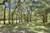 540 Yango Creek Road, Laguna, NSW 2325-Image