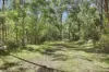 540 Yango Creek Road, Laguna, NSW 2325-Image