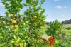 5405 Main South Road, Wattle Flat, SA 5203-Image