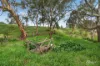 5405 Main South Road, Wattle Flat, SA 5203-Image