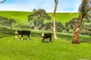 5405 Main South Road, Wattle Flat, SA 5203-Image
