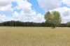 54099 Bruce Highway, Machine Creek QLD 4695-Image