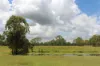 54099 Bruce Highway, Machine Creek QLD 4695-Image