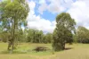 54099 Bruce Highway, Machine Creek QLD 4695-Image