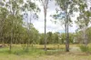 54099 Bruce Highway, Machine Creek QLD 4695-Image