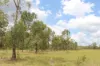54099 Bruce Highway, Machine Creek QLD 4695-Image