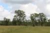 54099 Bruce Highway, Machine Creek QLD 4695-Image