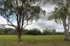 54099 Bruce Highway, Machine Creek QLD 4695-Image