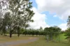 54099 Bruce Highway, Machine Creek QLD 4695-Image