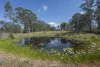 5437 Orara Way, Braunstone, NSW 2460-Image
