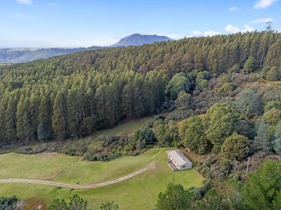 549 Cradle Mountain Road, Erriba, Tas 7310
