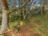 549 Cradle Mountain Road, Erriba, Tas 7310-Image