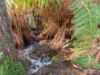 549 Cradle Mountain Road, Erriba, Tas 7310-Image