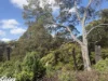 54D Kennedys Road, Madalya, Vic 3971-Image