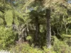 54D Kennedys Road, Madalya, Vic 3971-Image