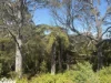 54D Kennedys Road, Madalya, Vic 3971-Image