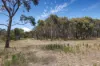 55 Dons Lane, GLENHOPE EAST VIC 3522-Image