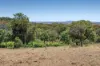 55 Dons Lane, GLENHOPE EAST VIC 3522-Image
