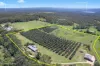 55 Horrex Road, Ravensbourne, Qld 4352