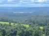 55 Horrex Road, Ravensbourne, Qld 4352-Image