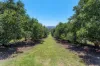 55 Horrex Road, Ravensbourne, Qld 4352-Image