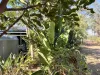 55 Range Crescent, Laidley, Qld 4341-Image