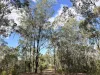 55 Range Crescent, Laidley, Qld 4341-Image