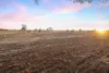 55 Steicke Road, Beverford VIC 3590-Image