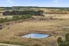 55 Wineshanty Road, Barwon Downs, Vic 3243-Image