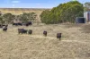 55 Wineshanty Road, Barwon Downs, Vic 3243-Image