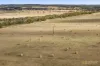 55 Wineshanty Road, Barwon Downs, Vic 3243-Image
