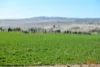 5510  The Snowy River Way, Dalgety, NSW 2628-Image