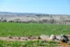 5510  The Snowy River Way, Dalgety, NSW 2628-Image