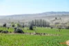 5510  The Snowy River Way, Dalgety, NSW 2628-Image