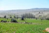 5510  The Snowy River Way, Dalgety, NSW 2628-Image