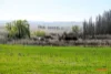 5510  The Snowy River Way, Dalgety, NSW 2628-Image