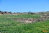 5510  The Snowy River Way, Dalgety, NSW 2628-Image