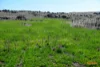 5510  The Snowy River Way, Dalgety, NSW 2628-Image