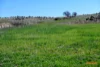 5510  The Snowy River Way, Dalgety, NSW 2628-Image