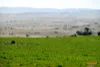 5510  The Snowy River Way, Dalgety, NSW 2628-Image