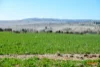 5510  The Snowy River Way, Dalgety, NSW 2628-Image
