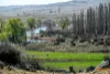 5510  The Snowy River Way, Dalgety, NSW 2628-Image