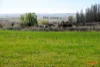 5510  The Snowy River Way, Dalgety, NSW 2628-Image