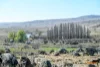 5510  The Snowy River Way, Dalgety, NSW 2628-Image