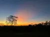 553 Berries Road, Kullogum, Qld 4660