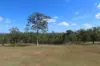 553 Berries Road, Kullogum, Qld 4660-Image