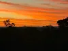 553 Berries Road, Kullogum, Qld 4660-Image